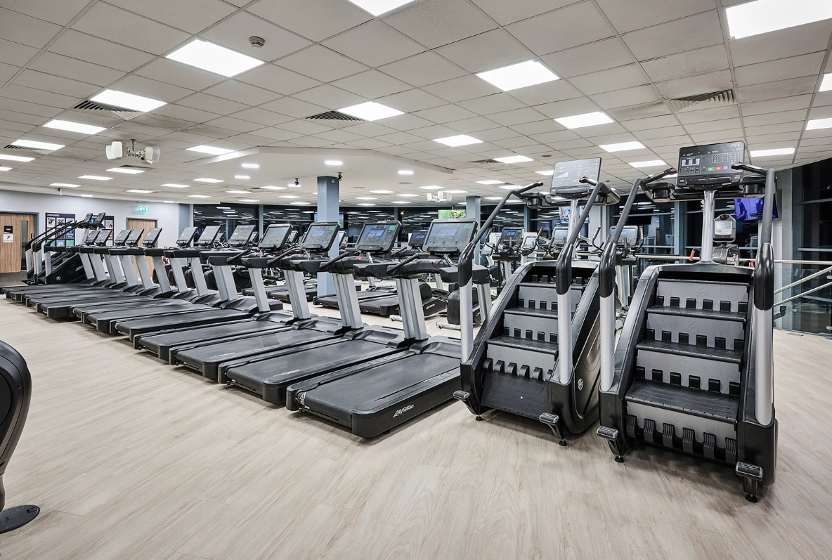 Spiceball Gym