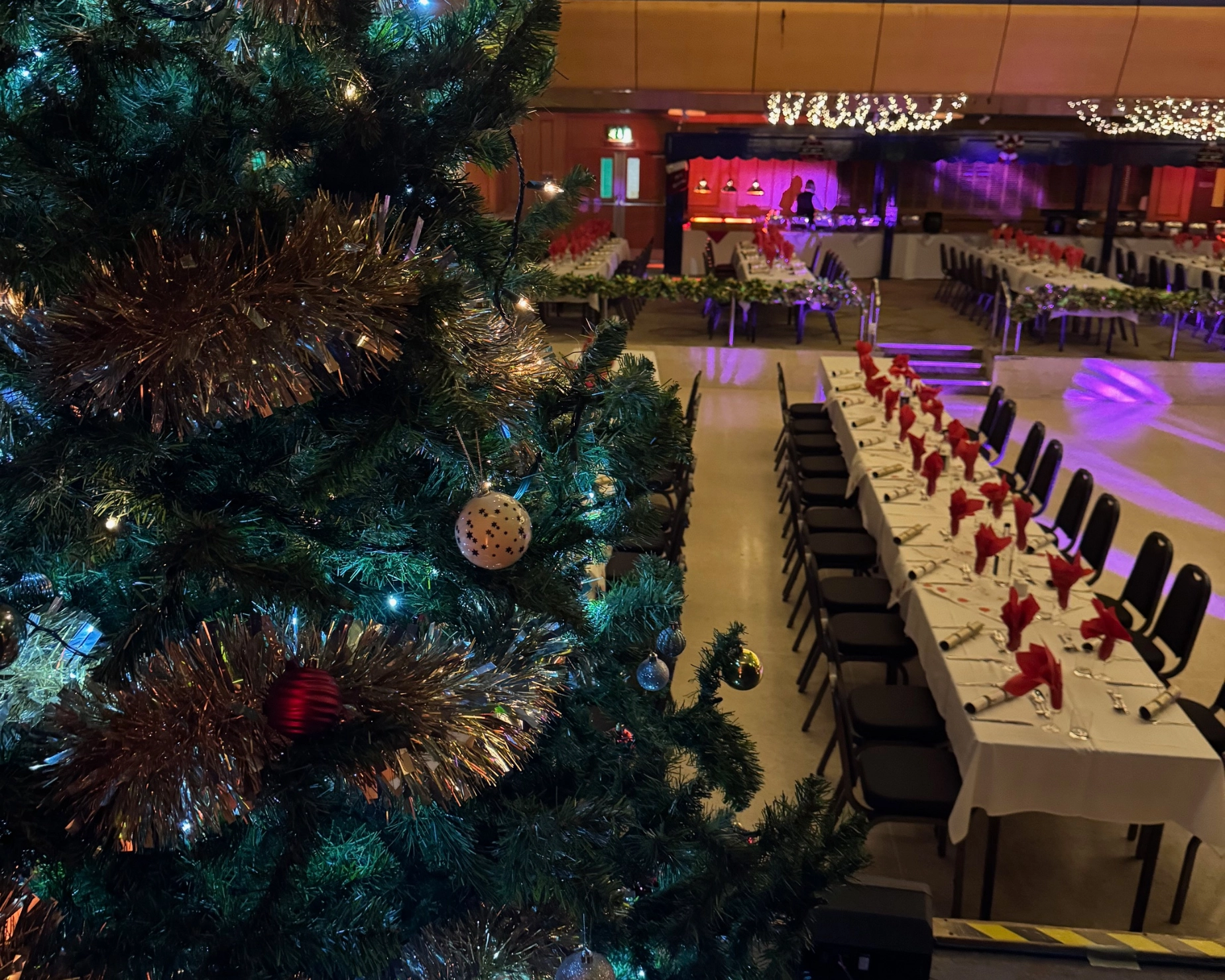 Shared Christmas Party Nights