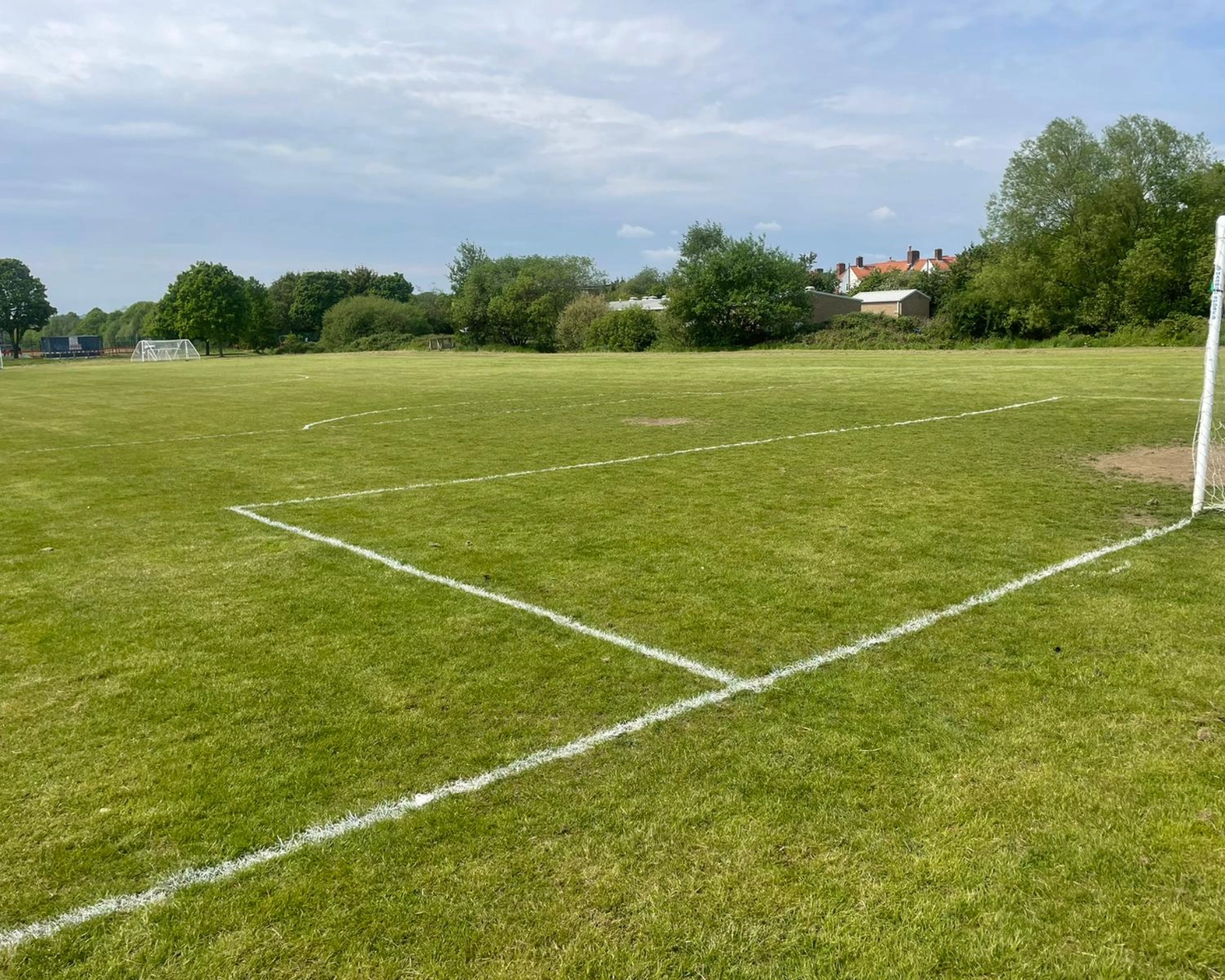 Downham Lower Fields