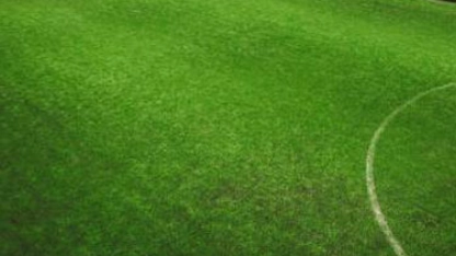 Astro Turf