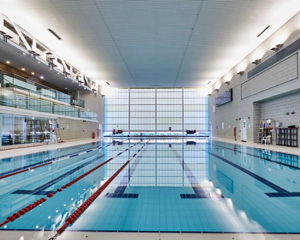 Lane Swimming