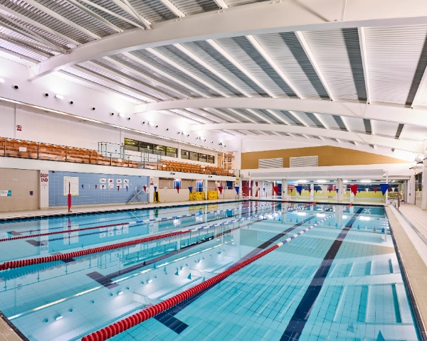 Lane Swimming